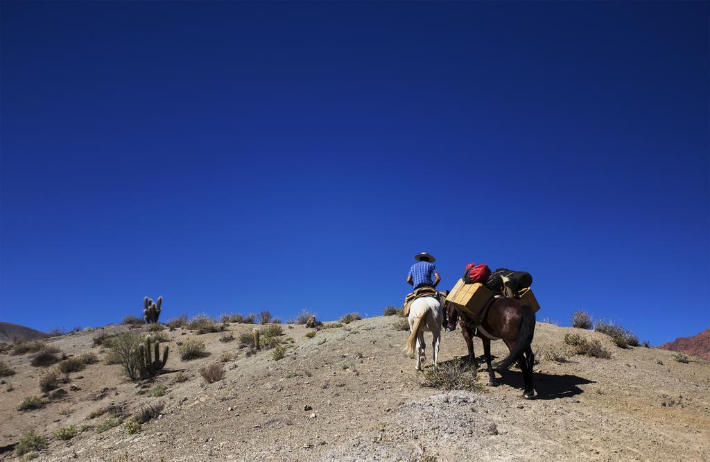 Hacienda Los Andes Villa Hurtado Bagian luar foto